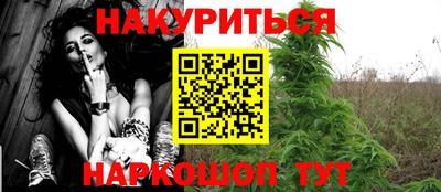 сатива Волгодонск
