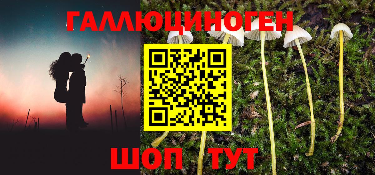 Морозовск  купить закладку  Вход с VPN  Псилоцибиновые грибы ЛСД  Псилоцибиновые грибы Cubensis 