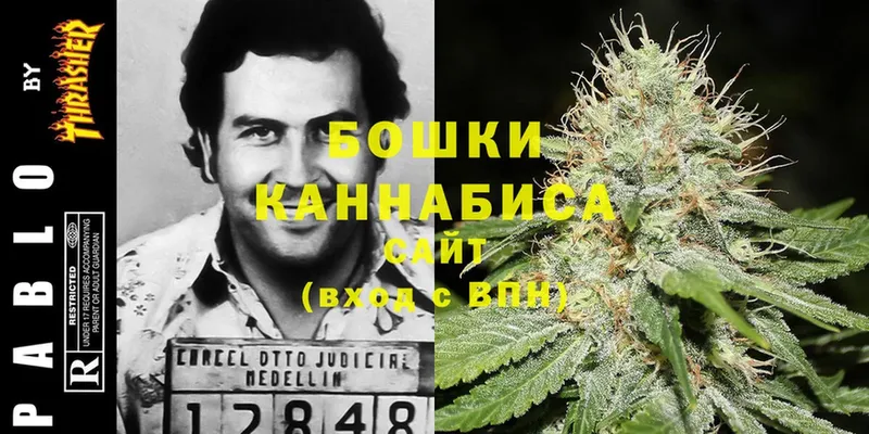 купить наркотики сайты  Морозовск  Бошки марихуана SATIVA & INDICA 